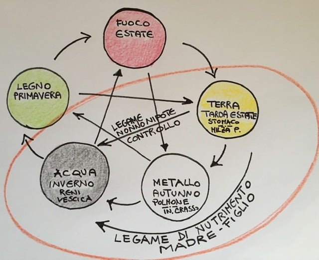 le relazioni tra elementi Medicina Cinese